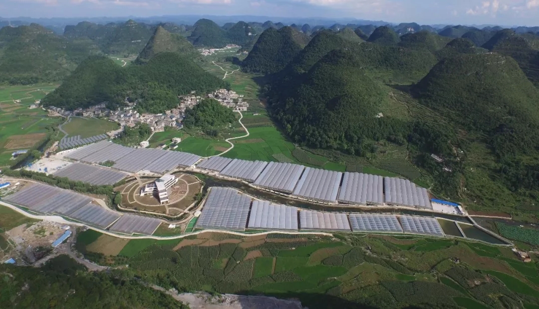 640.webp_(2)_.jpg 640.webp_(2)_.jpg