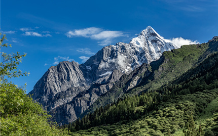 建设工程项目管理软件